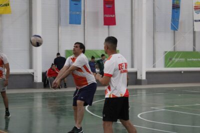 CEF-12