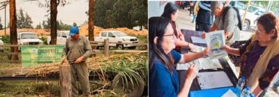 EL MUNICIPIO REALIZÓ IMPLANTACIÓN DE PASTURA Y ENTREGA DE SEMILLAS 1