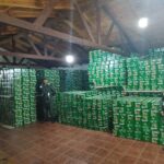 GENDARMERIA ITUZAINGÓ INCAUTO MULTIMILLONARIA CARGA DE CERVEZA EXTRANJERA 1